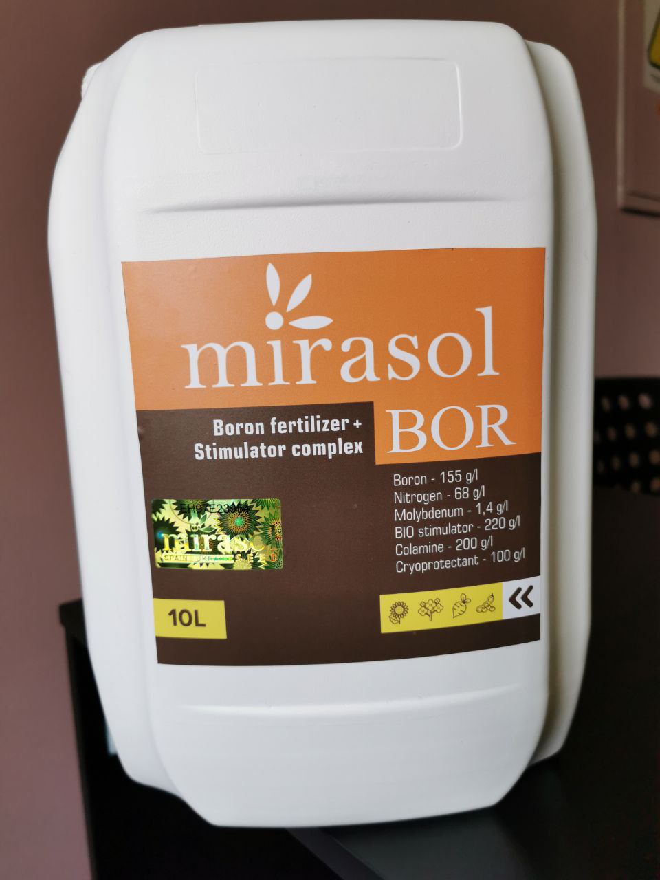Mirasol BOR