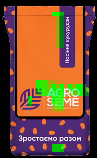 AGRO SEME — насіння кукурудзи