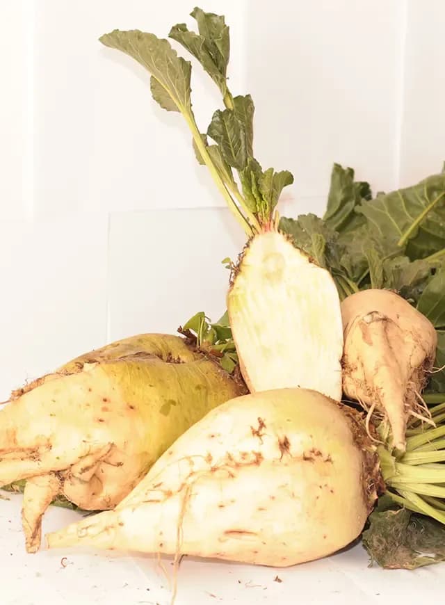 Франк — АРТ-АГРО