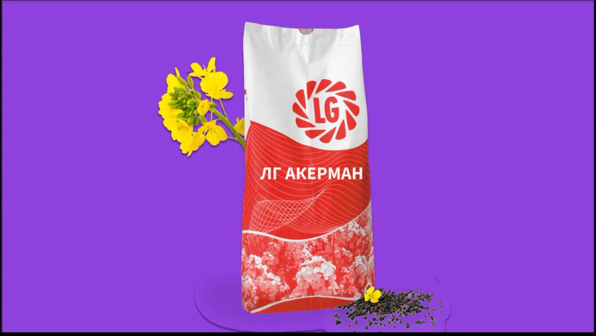 ЛГ АКЕРМАН — насіння ріпаку LG