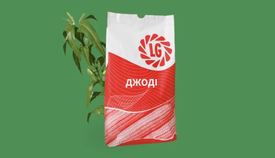 ДЖОДІ — насіння кукурудзи LG
