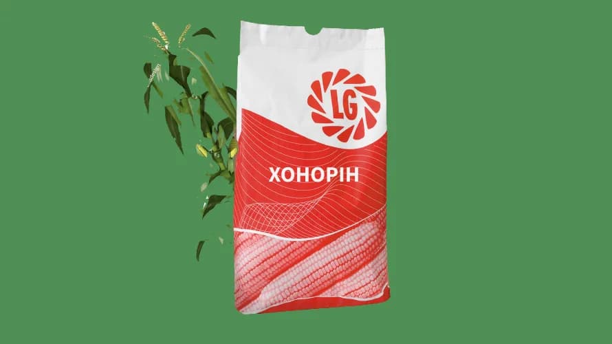 ХОНОРІН — насіння кукурудзи LG