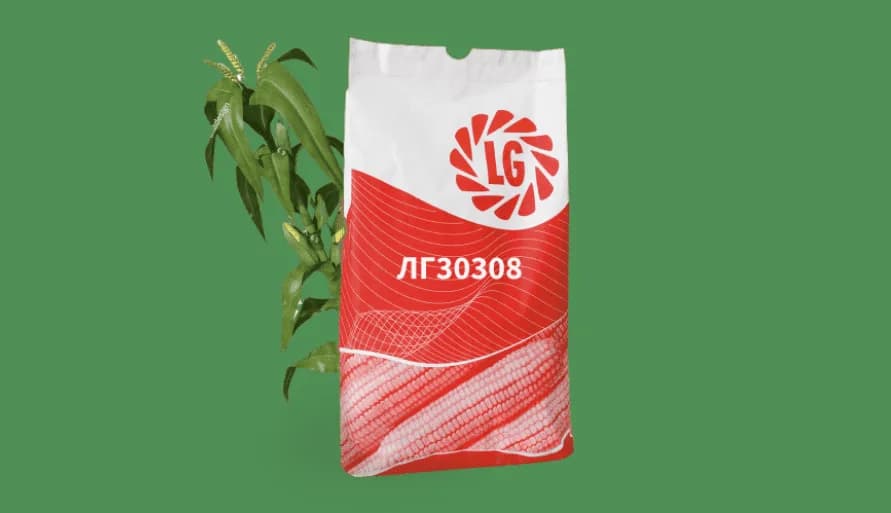 ЛГ30308 — насіння кукурудзи LG