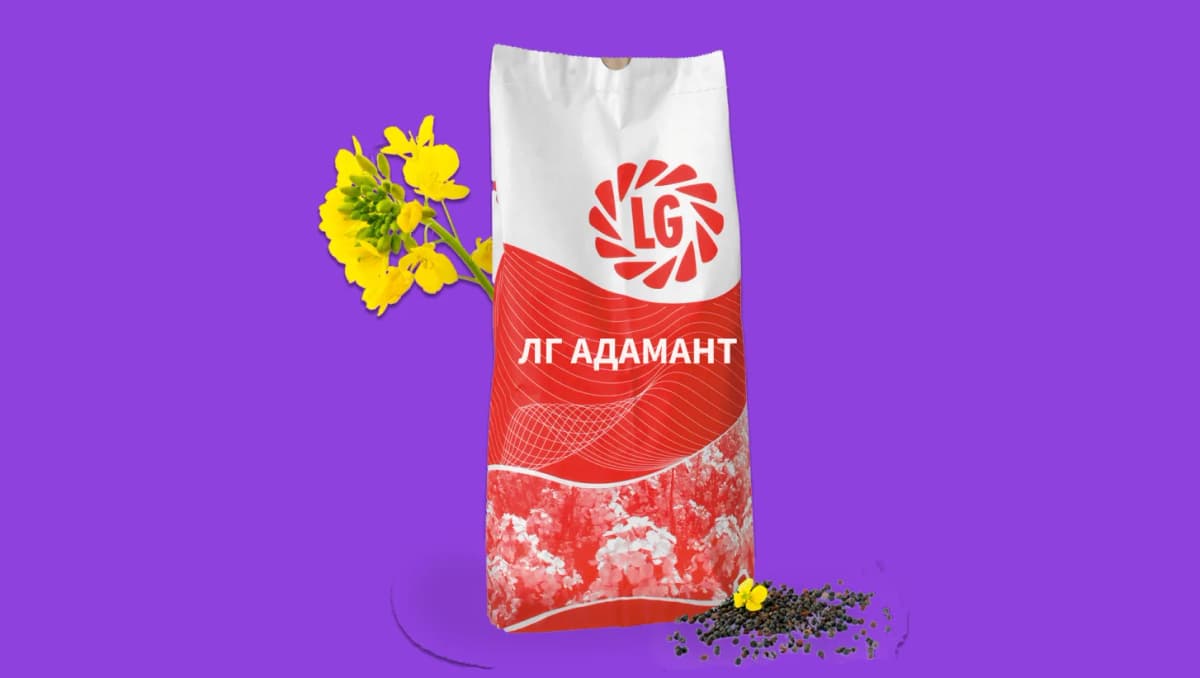 ЛГ АДАМАНТ — насіння ріпаку LG