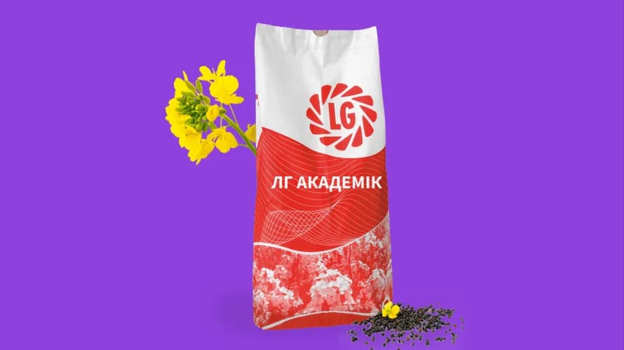 ЛГ АКАДЕМІК — насіння ріпаку LG