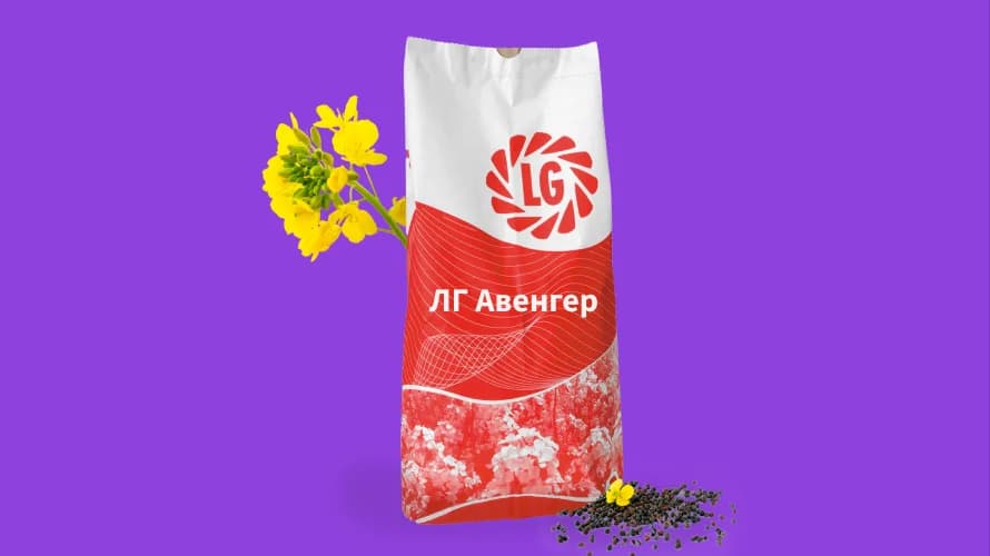 ЛГ АВЕНГЕР — насіння ріпаку LG