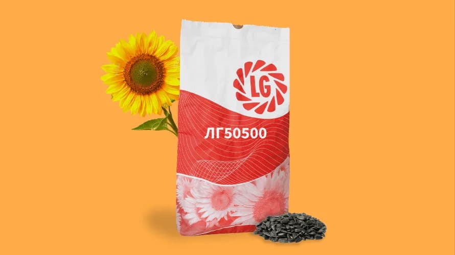 ЛГ50500 — насіння соняшнику LG