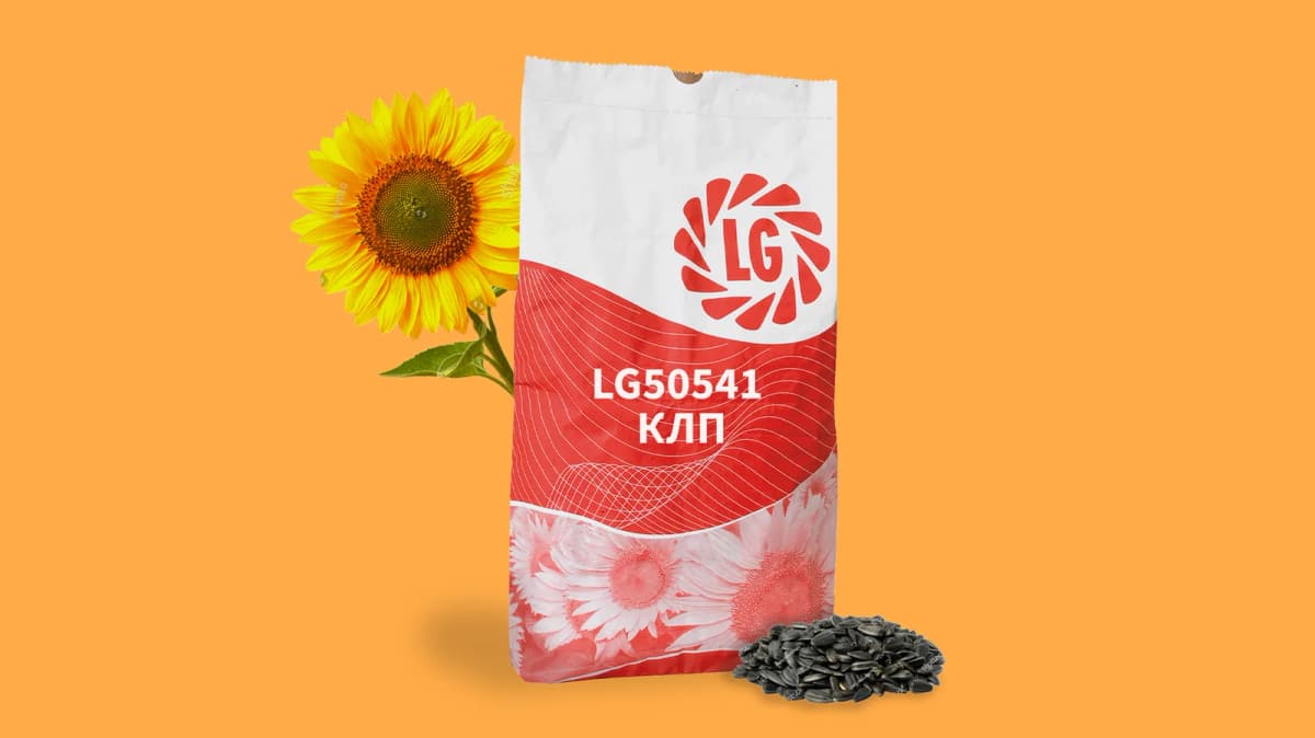 ЛГ50541 КЛП — насіння соняшнику LG