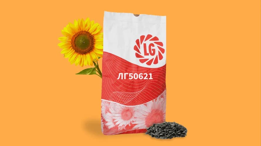 ЛГ50621 — насіння соняшнику LG