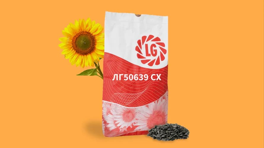 ЛГ50639 СХ — насіння соняшнику LG