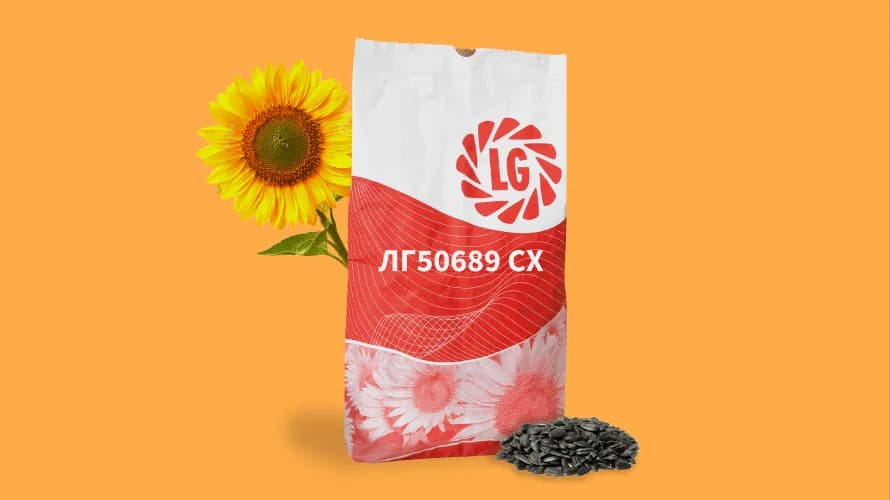 ЛГ50689 СХ — насіння соняшнику LG