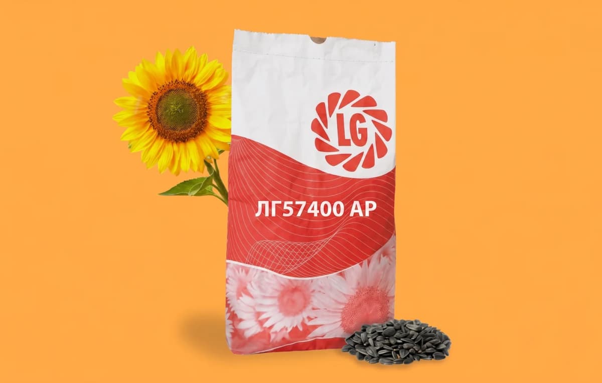 ЛГ57400 АР — насіння соняшнику LG
