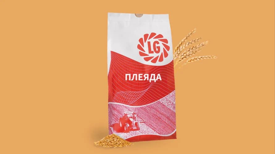 ПЛЕЯДА — насіння пшениці LG