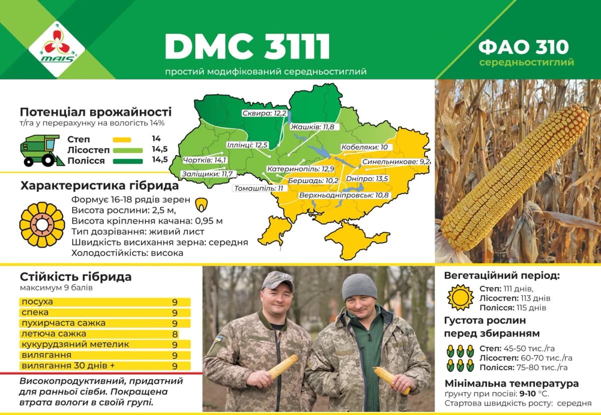 ДМС 3111 (ФАО 310) — насіння кукурудзи Маїс