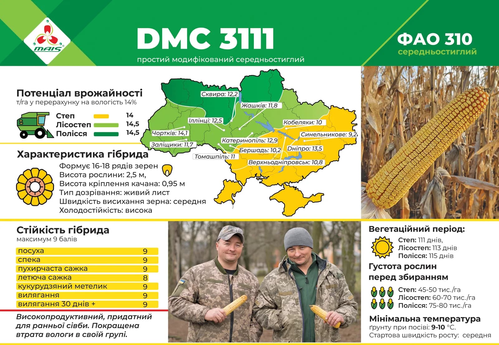 ДМС 3111 (ФАО 310) — насіння кукурудзи Маїс