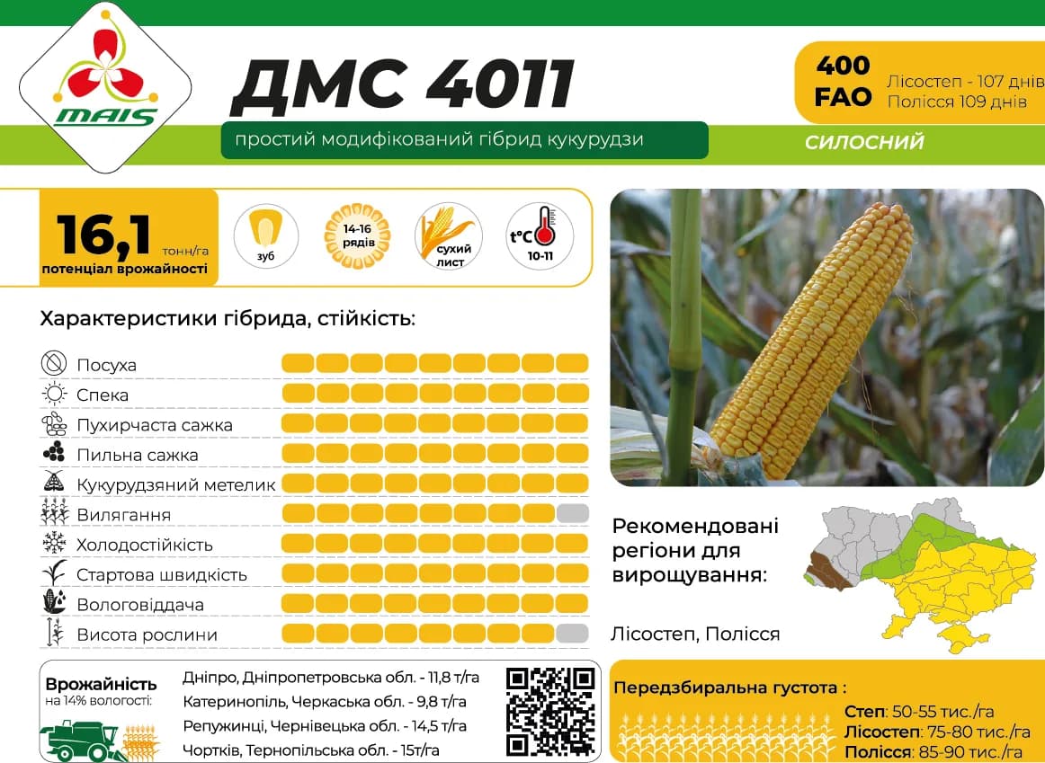 ДМС 4011 — насіння кукурудзи Маїс