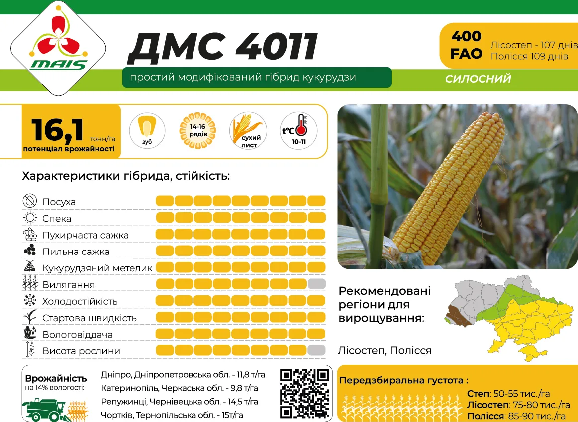 ДМС 4011 — насіння кукурудзи Маїс