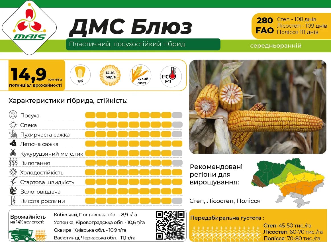 ДМС Блюз — насіння кукурудзи Маїс