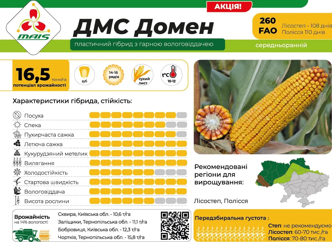 ДМС Домен — насіння кукурудзи Маїс