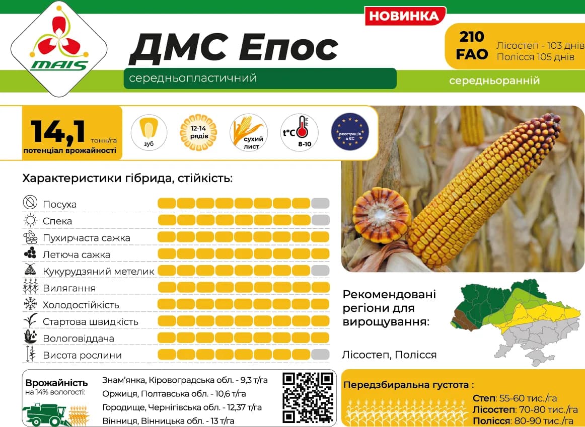 ДМС Епос — насіння кукурудзи Маїс