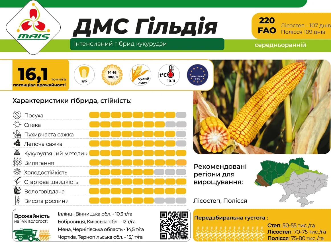 ДМС Гільдія — насіння кукурудзи Маїс