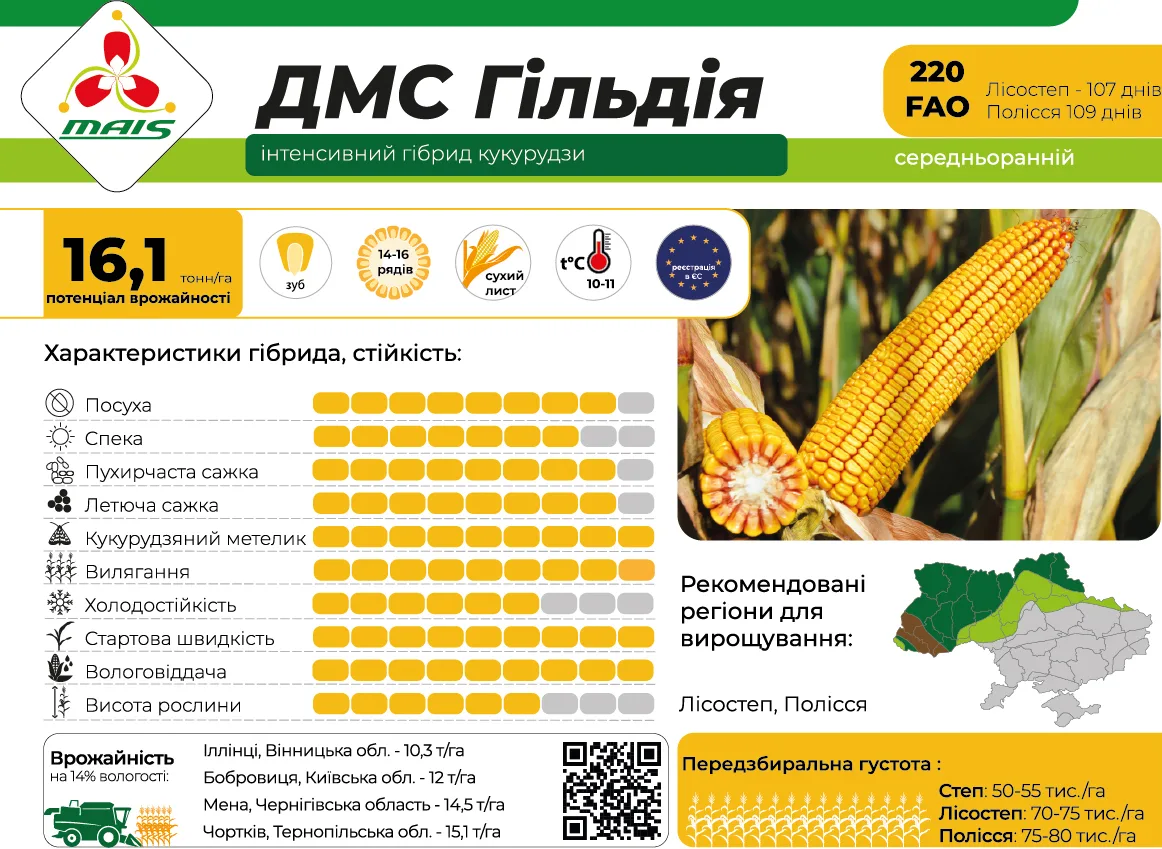 ДМС Гільдія — насіння кукурудзи Маїс