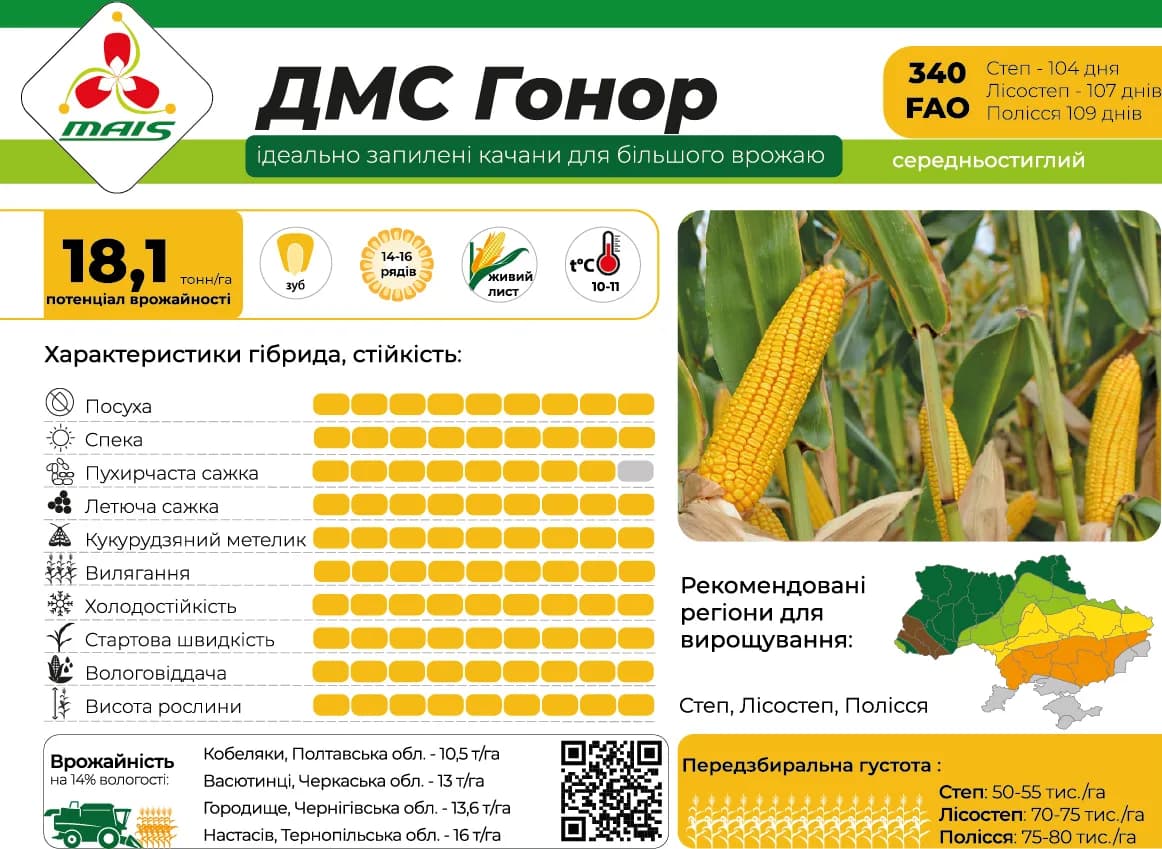 ДМС Гонор — насіння кукурудзи Маїс