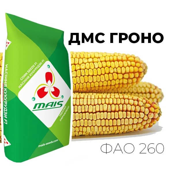 ДМС Гроно — насіння кукурудзи Маїс