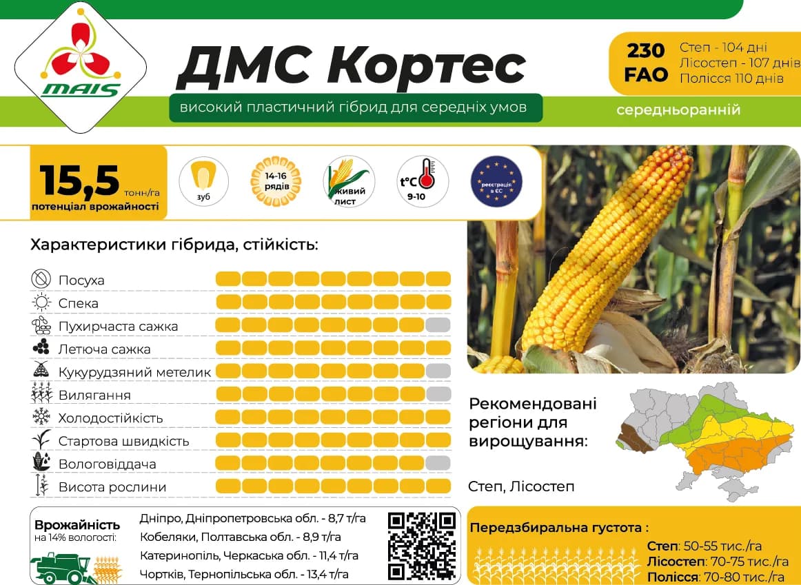 ДМС Кортес — насіння кукурудзи Маїс