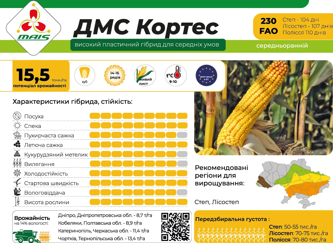 ДМС Кортес — насіння кукурудзи Маїс