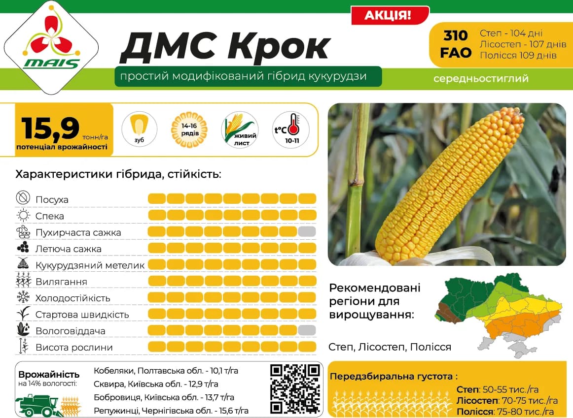 ДМС Крок — насіння кукурудзи Маїс