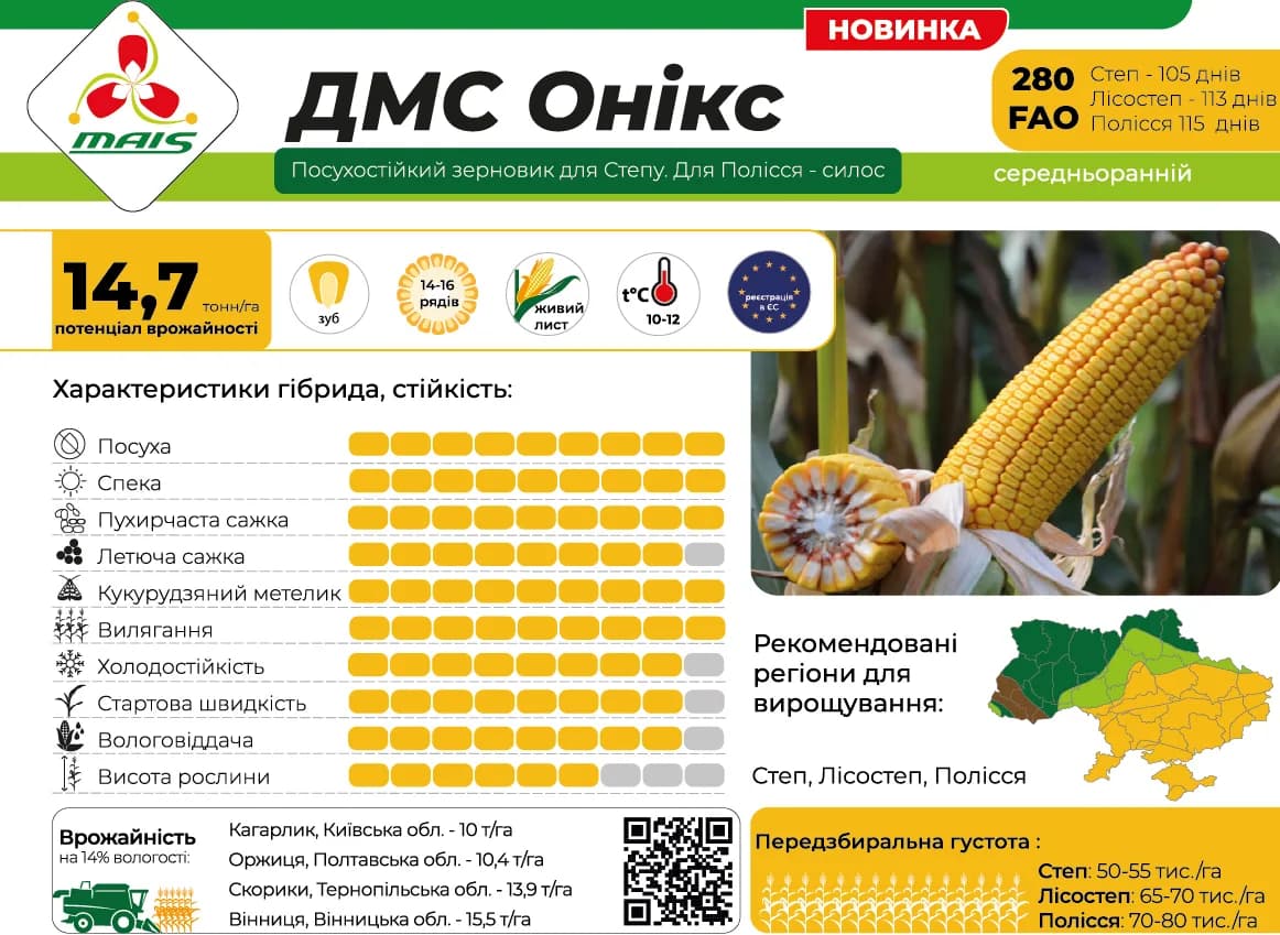 ДМС Онікс — насіння кукурудзи Маїс