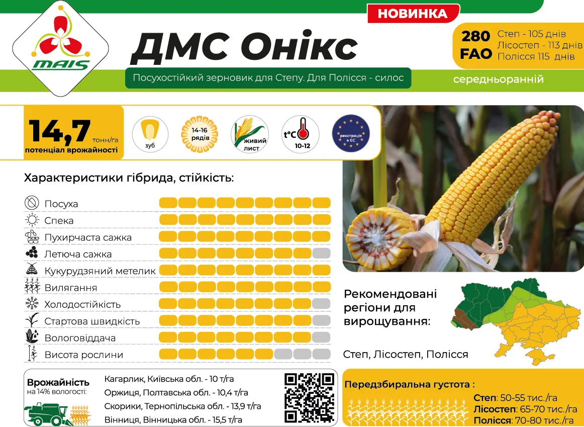 ДМС Онікс — насіння кукурудзи Маїс
