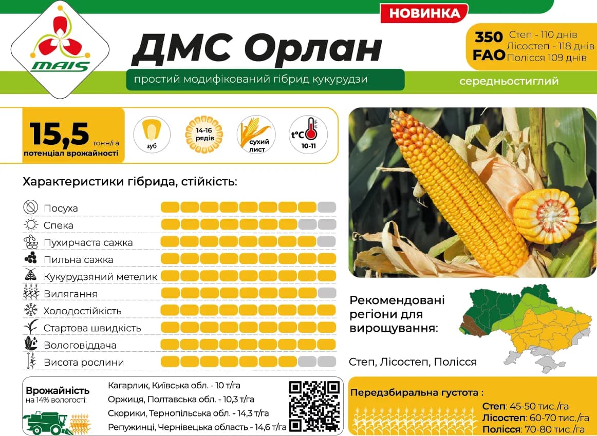 ДМС Орлан — насіння кукурудзи Маїс