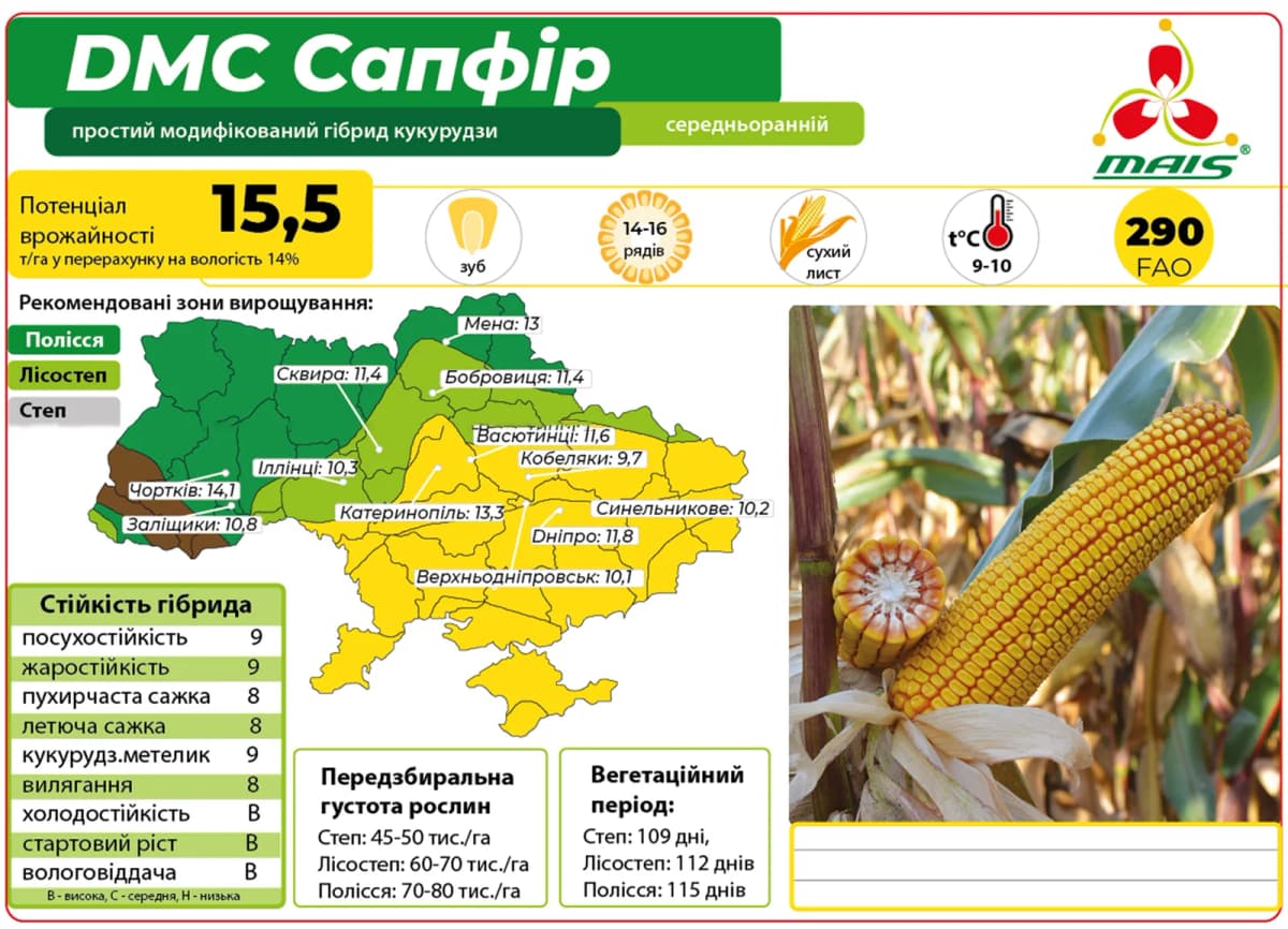 ДМС Сапфір — насіння кукурудзи Маїс