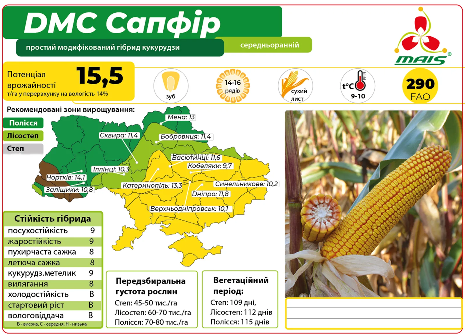 ДМС Сапфір — насіння кукурудзи Маїс