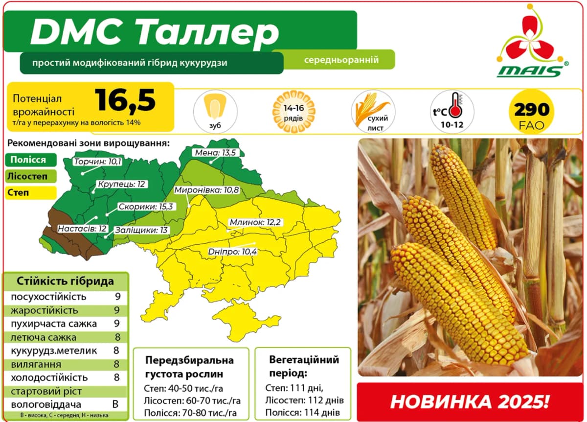 ДМС Таллер — насіння кукурудзи Маїс