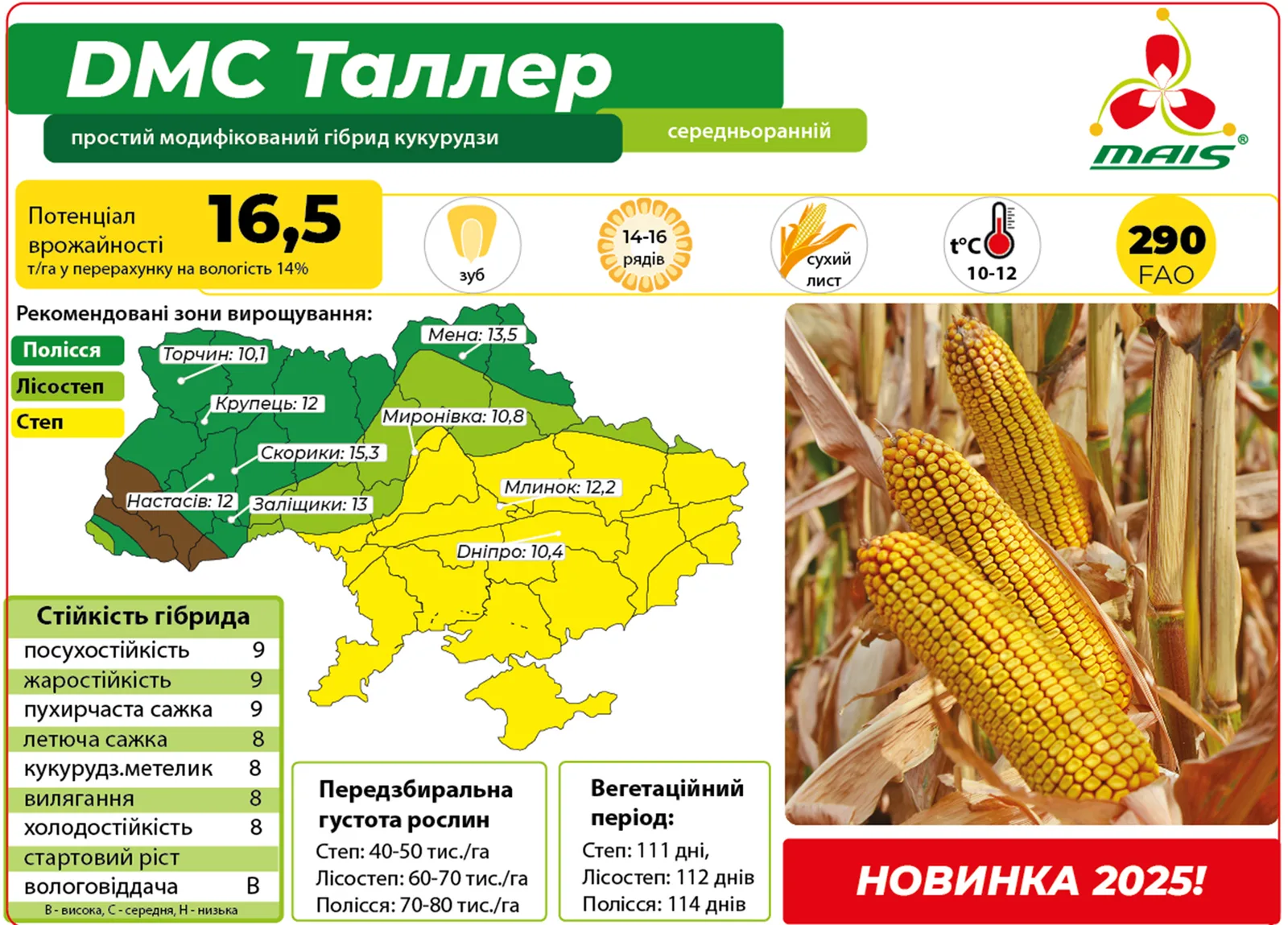 ДМС Таллер — насіння кукурудзи Маїс