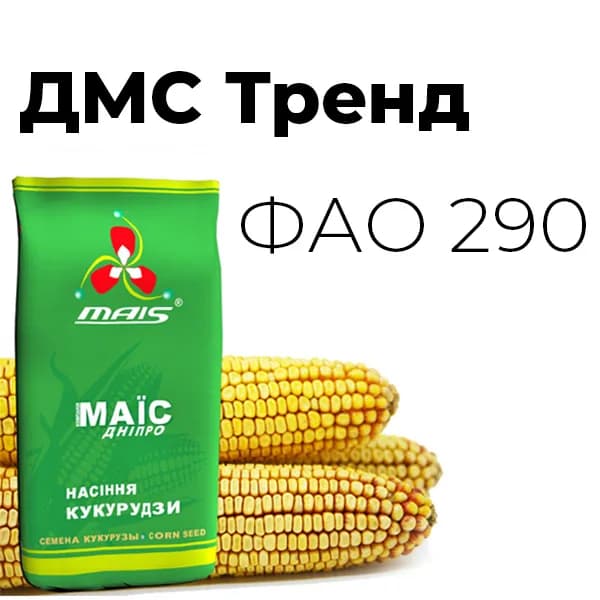 ДМС Тренд — насіння кукурудзи Маїс