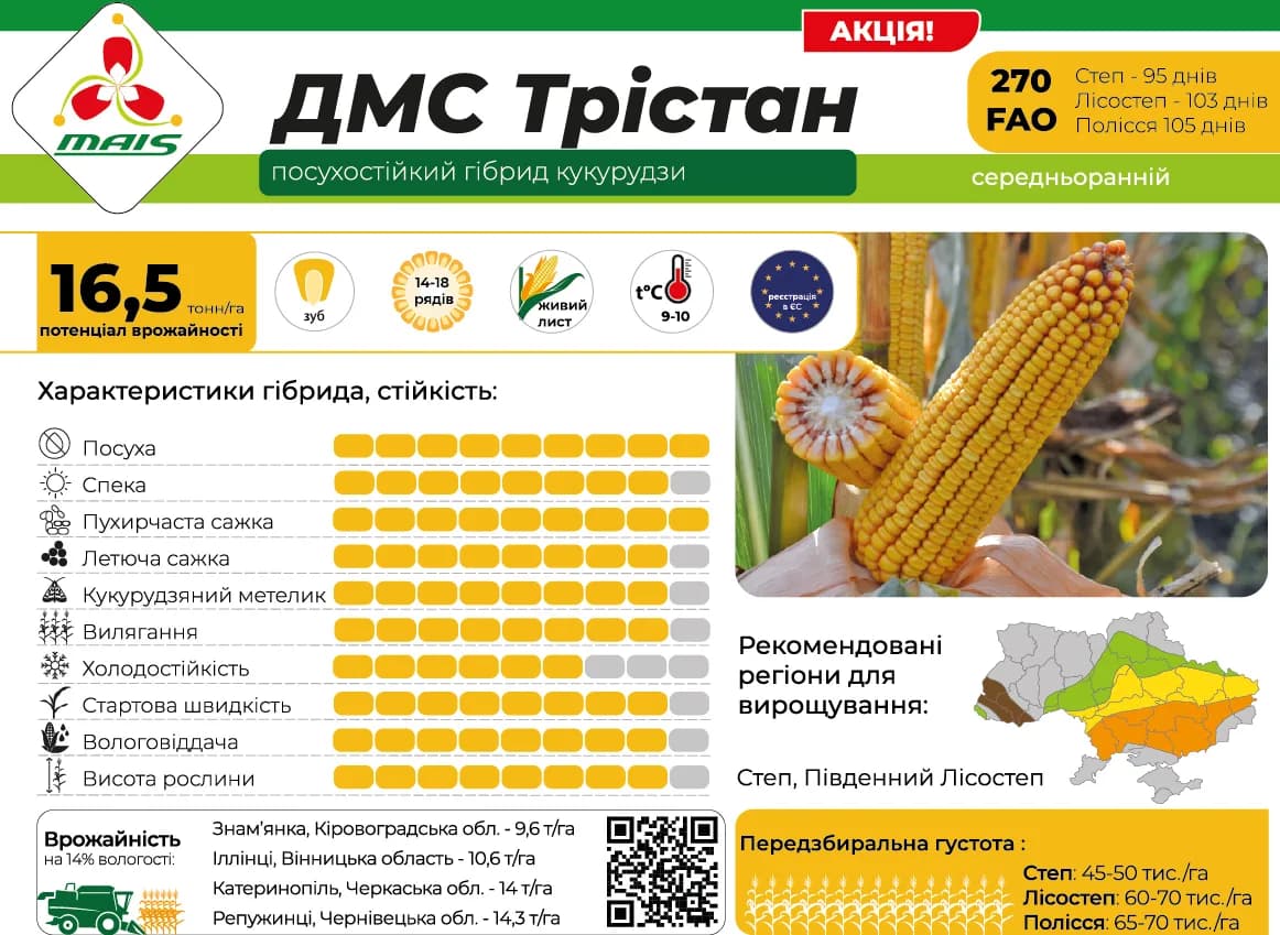 ДМС Трістан — насіння кукурудзи Маїс