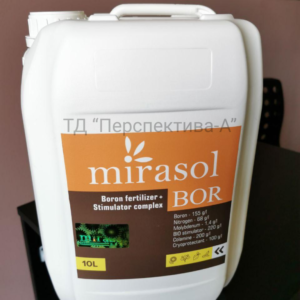 Mirasol Bor