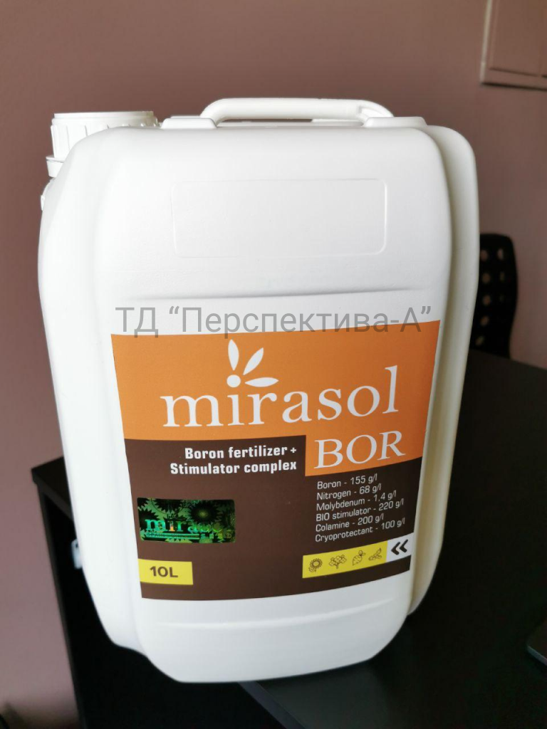 Мірасол Бор (Mirasol Bor)