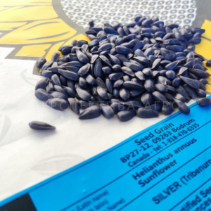 SILVER SEED GRSAIN COMPANY